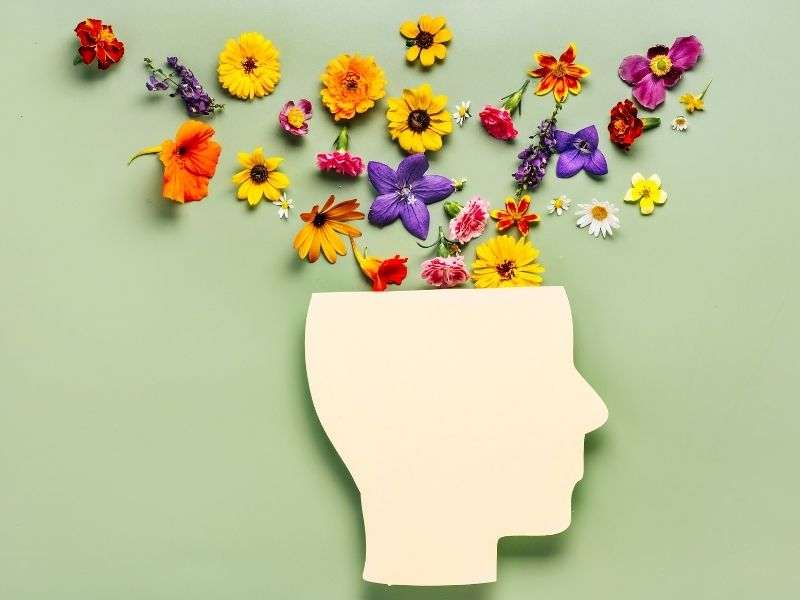Mental Health Policy